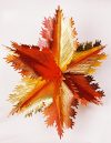 Fächer gold/rot 60cm