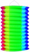 Zuglampion regenbogenfarbig/neon 25cm